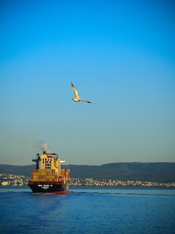 Navigating customs compliance when trading across the Calais border